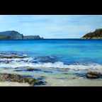 Safety Cove 2