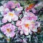 Memory of a favourite rose