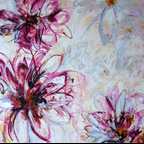 Magenta abundance