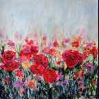 Field of red flowers