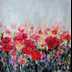 Field of red flowers