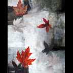 Umber 2
